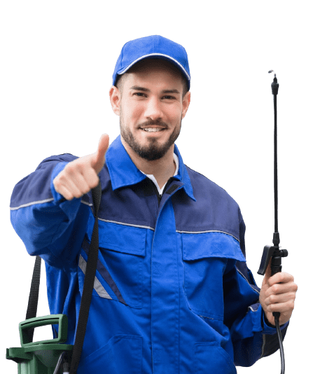 Bed-bug-exterminator-toronto