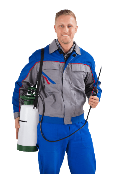 Bed-Bug-Exterminator Toronto